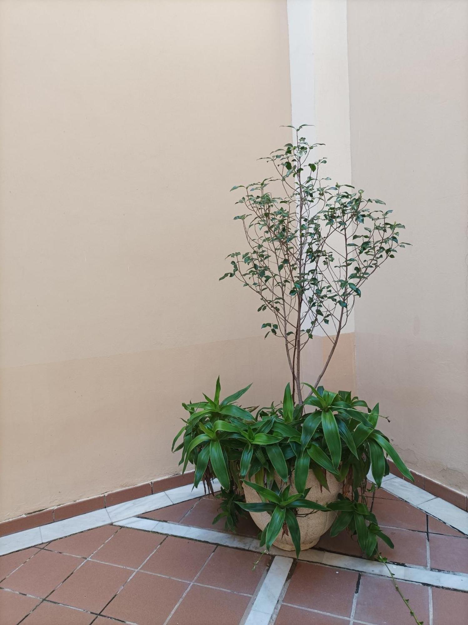 Apartamento De Lux Sevilla Este エクステリア 写真